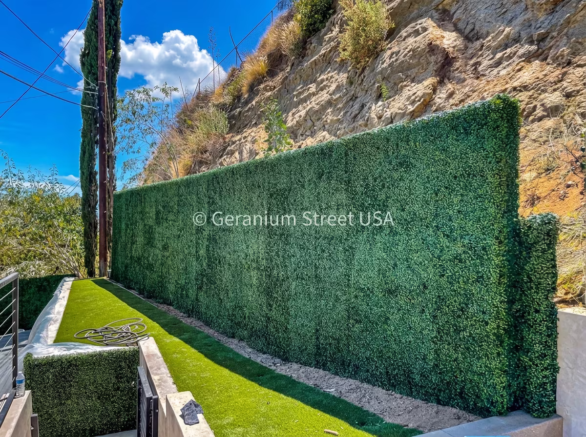 Brentwood Privacy hedge installation